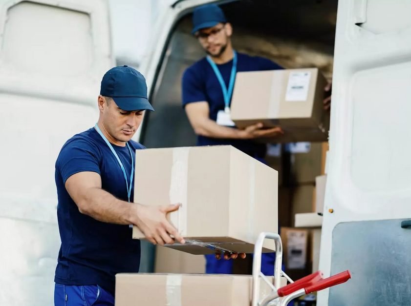 Personal profesional